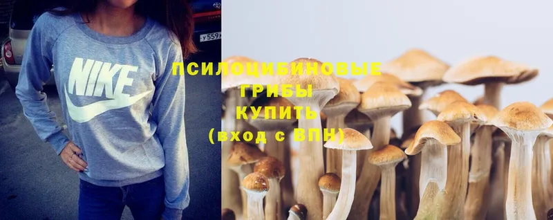 Галлюциногенные грибы MAGIC MUSHROOMS  где продают   ссылка на мегу ссылки  Алупка 